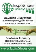 Debut ExpoShoes Negocios Online
