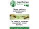 Proyecto ExpoShoes Online